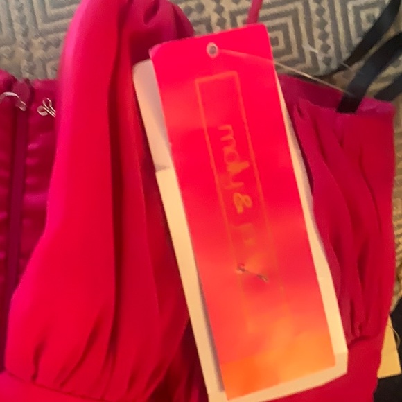 BEAUTIFUL FUSCHIA DRESS SIZE 10 MOLLY & JACK NWT 170 - Picture 8 of 10